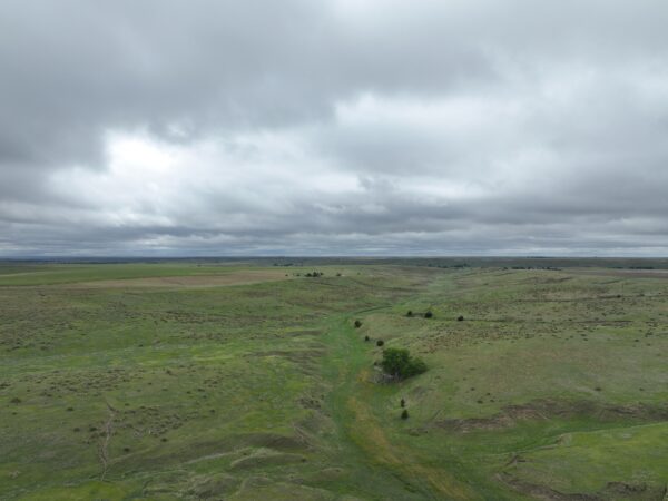 Dji 0736