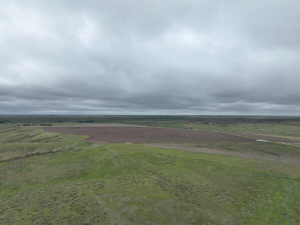 Dji 0738