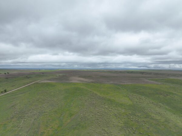 Dji 0742