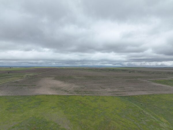 Dji 0743