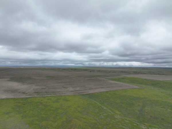 Dji 0744