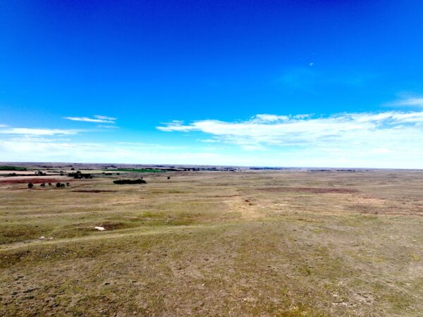 Dji 0816