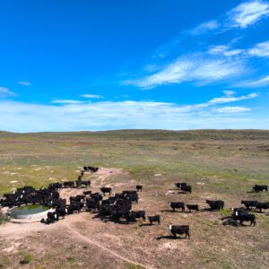 Dji 0824