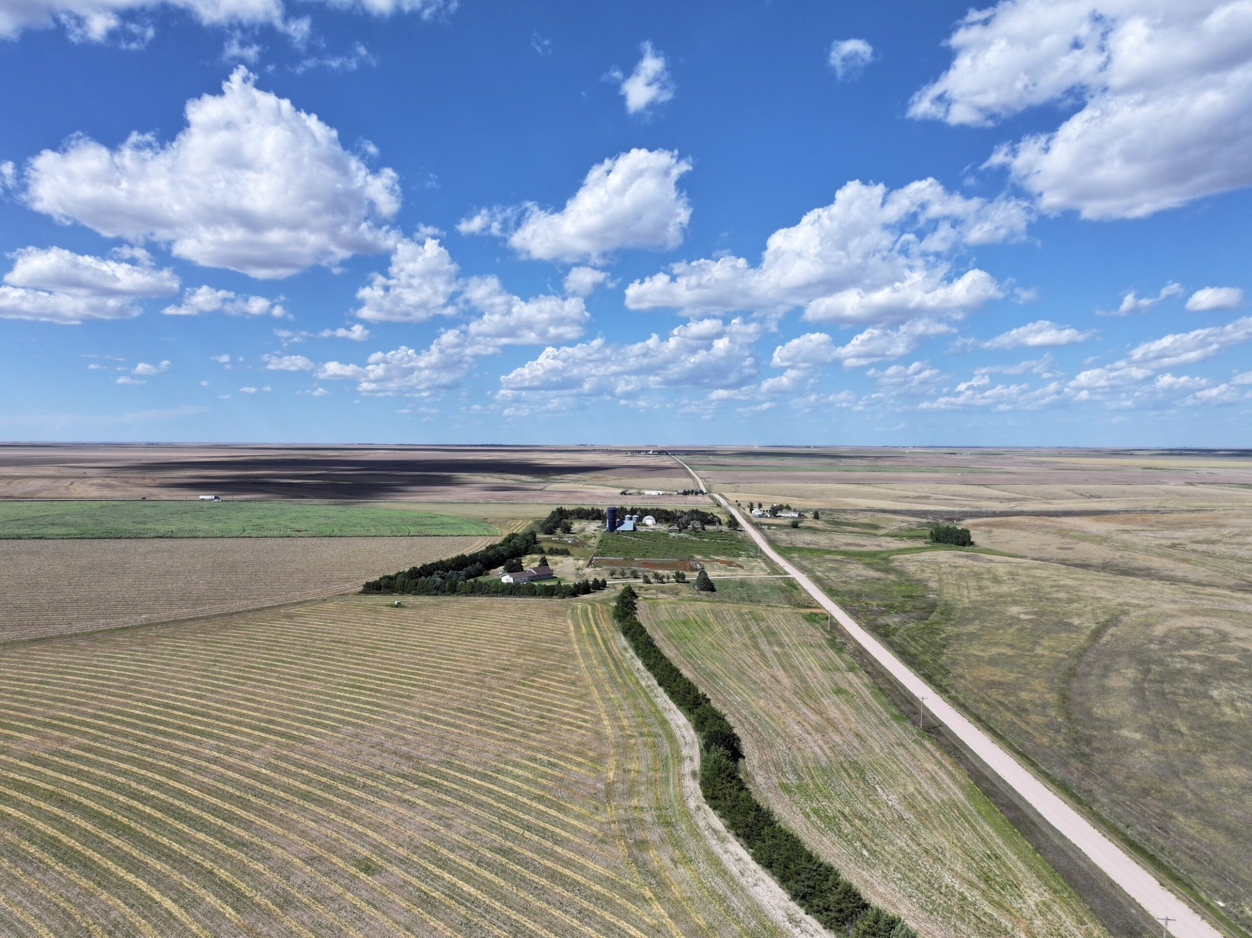 Homestead